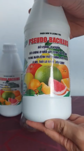 PSEUDOMONAS Chế Phẩm Vi Sinh Trừ Bệnh Héo Xanh Vàng Lá Thối Rễ - Chai 1 Lít