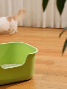 XL Extra Deep Cat Litter Box Toilet Kucing Cat Bekas Pasir Kucing Besar 猫砂盆 猫厕