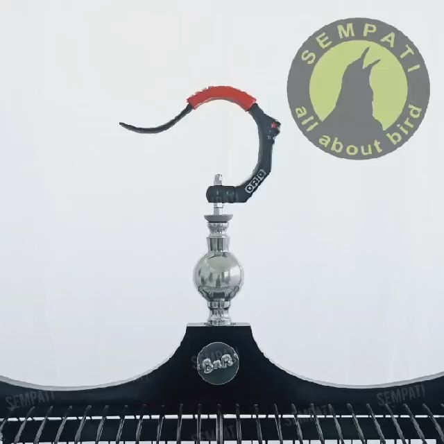 Ivan Kupala bayramlarida jinsiy aloqa