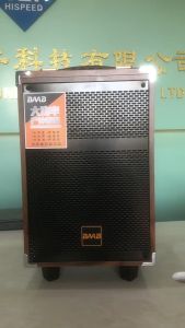 Professional SuperBass Karaoke Bluetooth Party Speaker with FREE Wireless Microphone and Remote Control Subwoofer Speaker 8 inch 12 inch