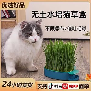Cat Grass Pot Fish Shaped Cat Grass Planting Box Soilless Hydroponic with Seeds Double Layer Planting Pot for Pet Kitten