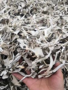 New Stock Xianxi Chestnut Fungus Dried Grey Tree Flower Dance Fungus 250g Tangshan Specialty Xianxi Edible Agricultural Products
