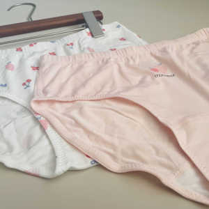 Delicate Modal Underwear for Girls Comfortable Dry Breathable Triangle Panties Childrens Innerwear Casual Style Four Seasons