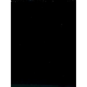 [Inox 304] Kìm mở sò huyết sò lôngsò huyết cồ hàu...Công Nghệ Đức - Đầu kìm nguyên khối siêu bền - Kìm inox304 ALLIN