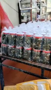 Kiệu Lá Ngâm Chua Ngọt Kiệu Cuốn Lá cực hợp ăn với thịt luộc ngày Tết- ĐẶC SẢN MINH TRIẾT