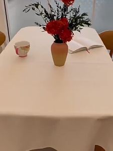 SHANTIANBAIJU | Small Lamb Skin Waterproof Oil-proof Heat-resistant Tablecloth