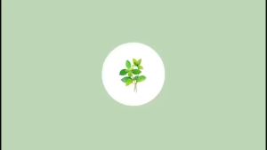 JAPAN JARDIN DE REEFUR Mosquito Repellent Ointment Cream Mosquito Insect Bite Anti Itching Cream Penghalau Nyamuk 蚊虫咬止痒膏