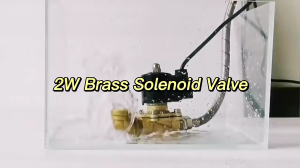 EURORECAR Brass Normally Closed Electric Solenoid Valve 220V AC | 1/4" 1/2" 3/4" 1" | For Water Oil Air Gas