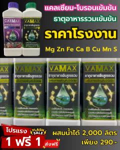 ชุด 3 แถม 3 Cabmax แคลเซียมและโบรอนเข้มข้น