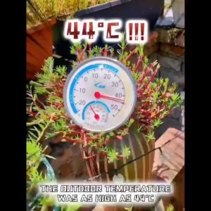 【COD】30M Shade Sail Black Sun Shade Net UV Protection Garden Car Cover Greenhouse Shade Cloth Netting