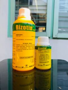 Insektisida RIZOTIN 100EC 100ml mantap