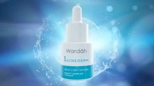 Wardah Acnederm Acne Care Serum 15ml with Salicylic Acid Wardah Jerawat Serum Acnederm Wardah