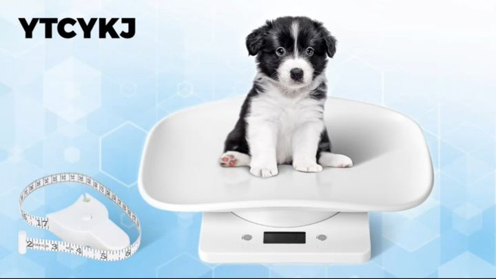 1g-10kg Timbangan Kucing Anjing Digital LCD Skala Multifungsi Untuk Hewan Peliharaan