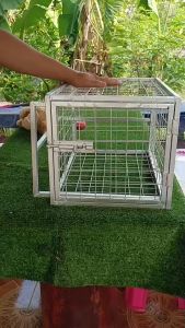 กรงบังคับฉีดยาสัตว์: จับแมวหรือสัตว์ที่ดูมาฉีดยา กรงนี้ช่วยเพื่อความปลอดภัย