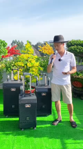 Loa nội địa karaoke Mtmax 1001 bass 25 – công suất 500W chip dps hát hay chơi tiệc từ 30-40 người  bảo hành 12 tháng