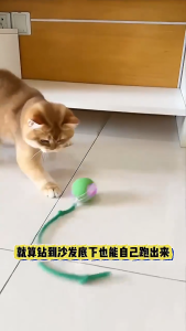 ของเล่นแมว ลูกบอลแมวอัติโนมัติ สมาร์ทไฟฟ้า หมุนได้ ของเล่นแมวโต้ตอบ 360 องศา เรืองแสง ลูกบอลสัตว์เลี้ยง