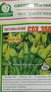 (Gói 30 hạt) Hạt giống bí siêu nụ - kháng bệnh tốt năng suất cao-Tổng kho hạt giống giá rẻ