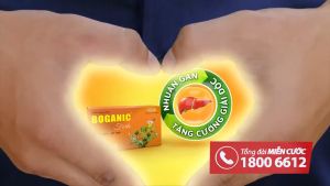 BOGANIC Traphaco hộp 100 viên - Phòng và hỗ trợ suy giảm chức năng gan giảm các triệu chứng viêm gan lở ngứa mụn nhọt dị ứng nổi mề đay