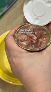 Schesir Cat Canned Wet Food in Natural Juicy Soft Jelly 85g | Highly Palatable (12 Variations)