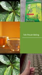 Vital Natural Oasis Herbal Green Tea with Striberian Echinacea & Honey Single Bag