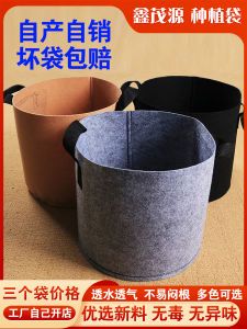 Bao Gieo Cỏ Dày Màu Sắc Bao Gieo Cỏ Bằng Vải Không Dệt Bao Gieo Cỏ Cho Ban Công Bao Gieo Cỏ Cho Mái Nhà Bao Gieo Cỏ Cho Vườn Gia Đình