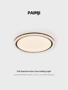 PAIMIJI | Sleek Modern Eye-Protective LED Ceiling Light