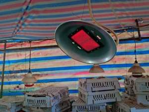 đèn sưởi biogas loại lớn 3000w