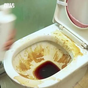 Deodorizing Antibacterial Toilet Cleaner