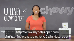 exp 4/26 ไลซีน Lysine vetriscience plus DMG 120 ชิ้น แมว บำรุง เสริม กระตุ้น ภูมิคุ้มกัน สุขภาพ วิตามิน ขนม ป่วย cat vetri