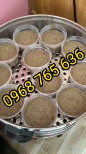 Nồi hấp pate xôi bánh bao....chạy điện size 47cm 3 tầng hấp [TẶNG MIẾNG LÓT + DỤNG CỤ VỆ SINH NỒI]