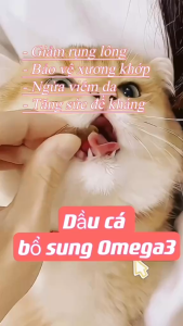 Viên dầu cá Omega-3 bổ sung dinh dưỡng cho Chó Mèo hộp 60 viên (mẫu mới) - Love pets shop