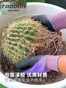 TAODUN | Găng Tay Chống Nước Bảo Vệ Cây Đầy Gai