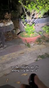 Đèn Pin Cầm Tay Siêu Sáng S350 - Chiếu Xa Có Kẹp Cài Mũ Hút Nam Châm Siêu Nhỏ Gọn Tiện Lợi