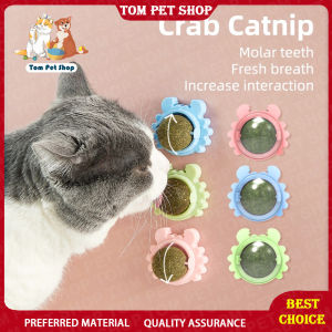 Catnip Cat Mint Ball Cat Snack Treats Toy Ball