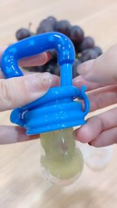 Fruit Feeder Pacifier Baby - Dot Bayi Khusus Buah / Empeng Buah Bayi Gigitan Bayi Makanan MPASI