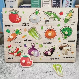 Shape Color Matching Puzzle Toy Educational