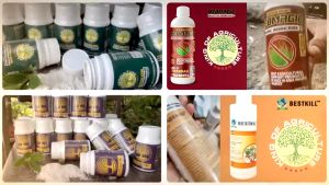 [Flash Combo Buy 10 get 2 Free] Organic Pesticides from Neem Oil - Bestkill