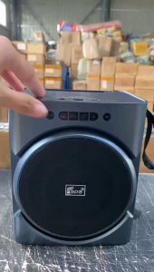 FP-368-S Wireless Speaker/FM Radio Speaker with Solar Panel