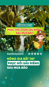 BS35 Vimax Giải Độc Cải Tạo Đất 450g - Bổ Sung Dinh Dưỡng Ổn định pH Chống Suy Cây - Bác Sĩ Cây Xanh