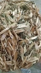 1kg cây chút chít sấy khô