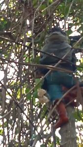 น้ำผึงป่าจากธรรมชาติ 100% ราคาโทรศัพท์ หอมกลิ่นดอกไม้ 1ขวด ขนาด 750 ml คุณภาพยินดีคืนเงิน