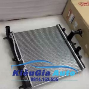 Két nước Kia Morning 2008-2011 2531007532