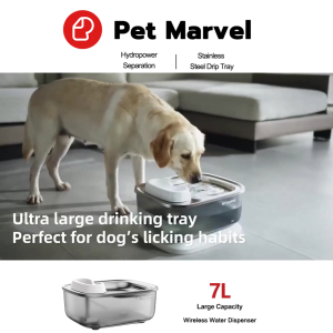 【SG  Stock】 Wireless Pet Water Dispenser Dog Water Dispenser Automatic Water Dispenser Filter water