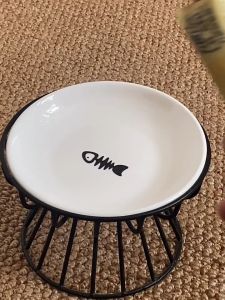 Ceramic Elevated Pet Bowl: A Comprehensive Guide