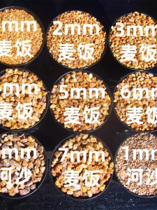 Buy Five Pounds Get Five Pounds Free Soft Wheat Stone Particle Size 6 times More Even No Dust Gold Colored Potted Plant Bedding