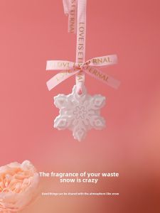 Creative HomeFlower Diffuser Essential Oil Indoor Bedroom Carried on Stone Aromatherapy Gift Fragrance Pendants 30g