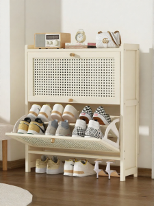TUOJUE | Slim Tilt Door Dustproof Shoe Cabinet Organizer