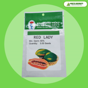 KNOWN YOU SEEDS RED LADY VARIETY PAPAYA SEEDS 5 PCS SEEDS RETAIL PACK