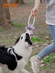 Zooland Dog Toy Tug of War Rope Knot Interactive Teeth Grinding Durable Fun Training Toy for Medium to Large Breeds Pet Dogs