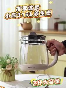 Bear | Multi-functional Electric Kettle for Cooking and Brewing Flower Tea